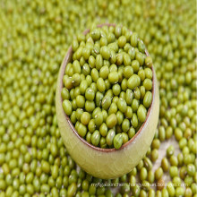 Green Mung Beans of China Origin